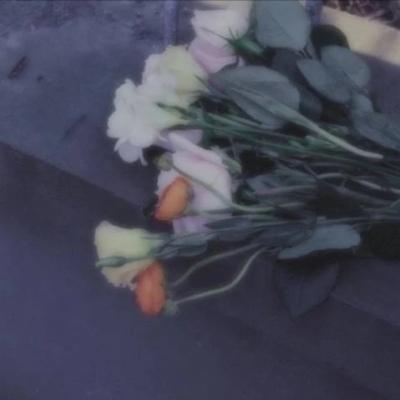 可爱网名二字，呆萌可爱的昵称（朴素易懂的二字网名贵在精髓-可爱点）