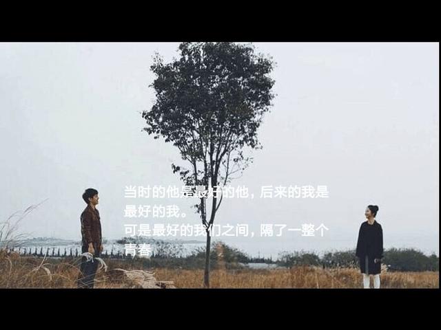 平安喜乐这个词好不好，平安喜乐什么意思（如果有人对你说平安喜乐）