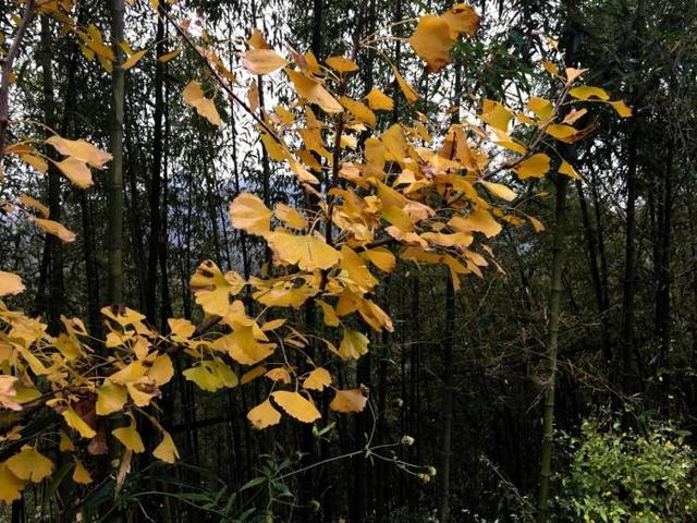 无锡自驾游，无锡自驾游一日游攻略（浙江无锡周边短途自驾游景点攻略推荐）