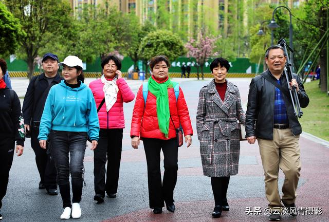 最简单能令人放松心情的图片 偶尔防空一下自己，让人心情放松的图片（醉倒在那片春色里）