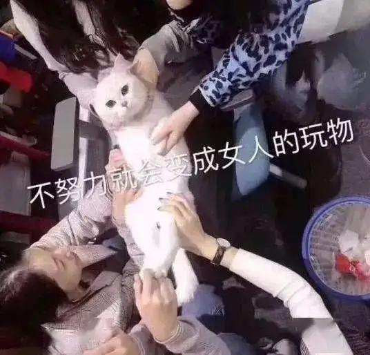 lol排位等级，LOL排位级别顺序（LOL段位差距有多大）