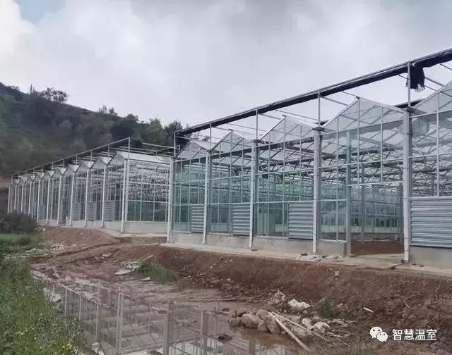 遮阳网6针12针有什么区别，遮阳网四针六针区别（温室大棚遮阳网的那些事儿）