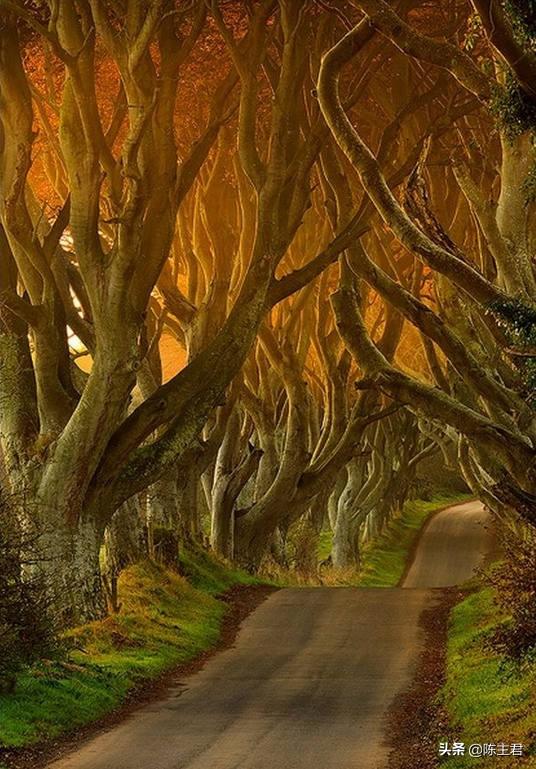 内蒙古人所说的风季是哪个季节，蒙古人的风季是什么季节（中国历史地理常识大全）