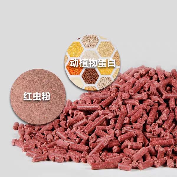 怎样才能钓鲫鱼，怎么样钓鲫鱼（想钓大鲫鱼也没想象的那么难）
