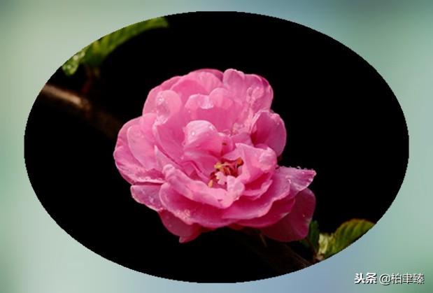 在乎与不在乎的区别，在乎与不在乎<说的太好了>