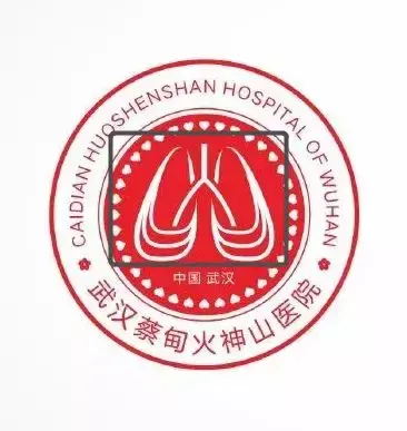 火神山医院标志，火神山医院的标志是什么（火神山和雷神山医院有LOGO了）