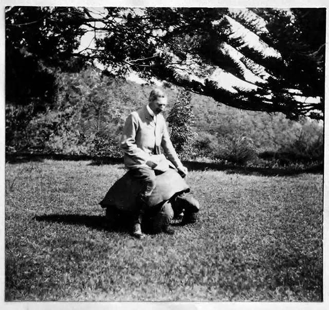 英国的国宝是什么动物，加拿大的国宝是什么动物（从道光时期活到现在）