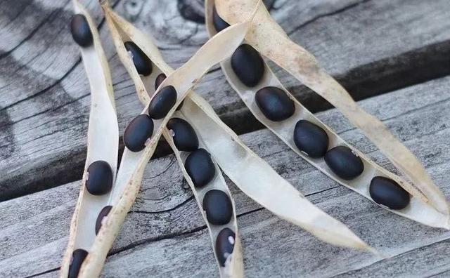 羊肉炖什么补肾壮阳，羊肉汤怎样炖补肾（整个冬天少生病）