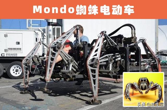 根据动物发明的东西有哪些，根据动物发明的东西有哪些英文（受到了动物的启发）