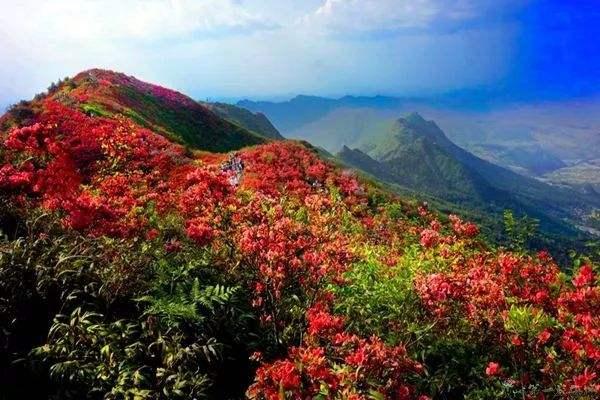 梵净山旅游攻略梵净山自助游攻略，梵净山几月份去最好（免费的自驾游攻略）