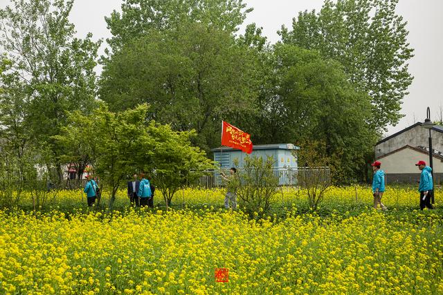 蜀山的具体位置在哪啊，蜀山位于哪里（徜徉在春色染透的田园风光里）