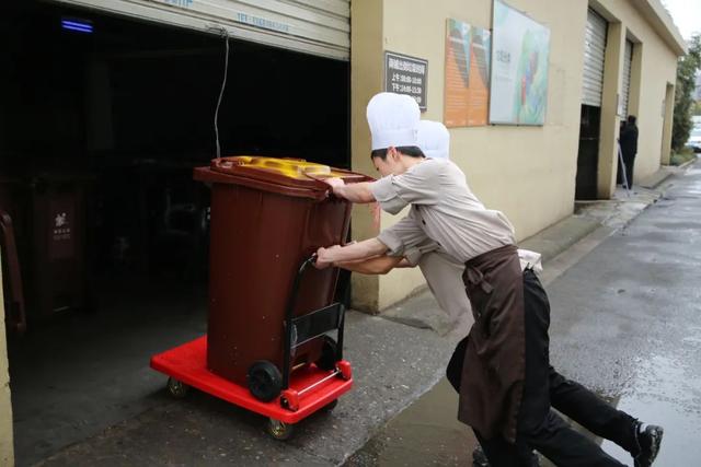 干垃圾和湿垃圾，干垃圾和湿垃圾的区别（嘉定试点生活垃圾“五分类”新模式）