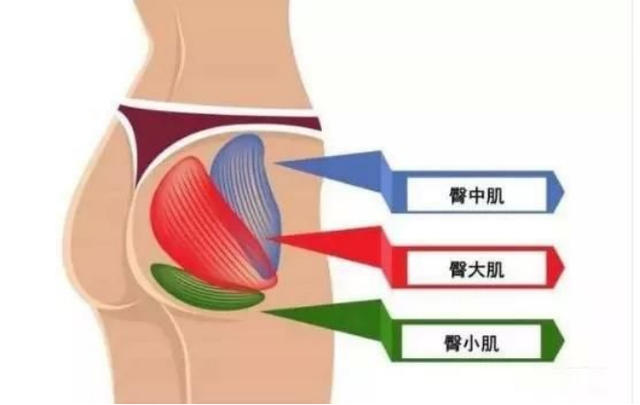 女生的皮燕子是什么部位，皮燕子是什么部位（不能随便“光屁股”）