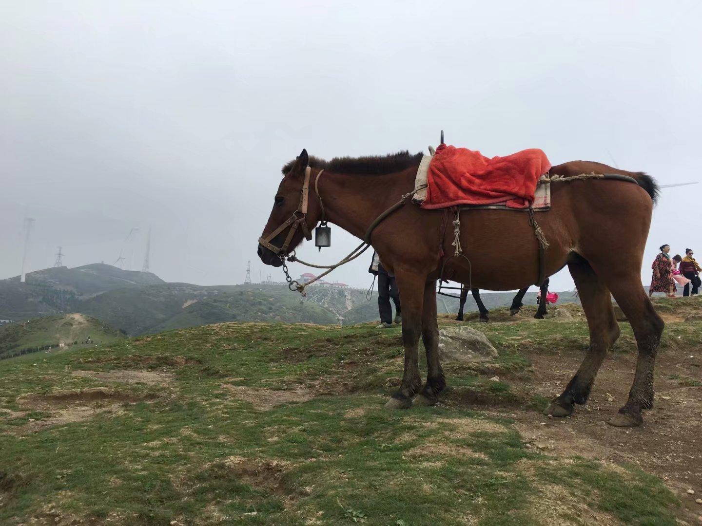 郴州百度（最美郴州东江自驾游干货）