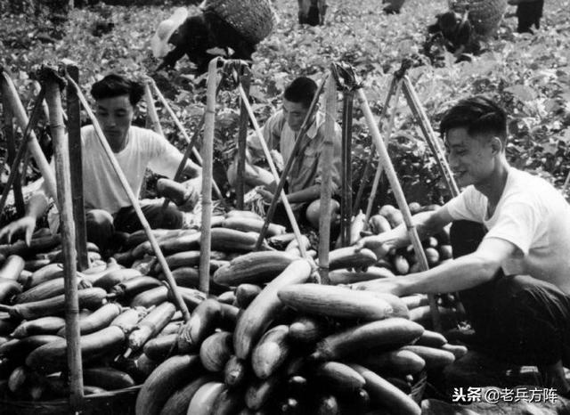 大炼钢铁是哪年，大炼钢铁是哪年下马的（新中国“大跃进”时期工农业生产场景）