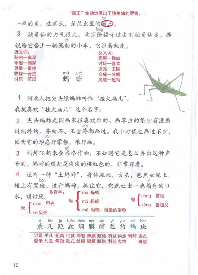 独角仙的特点是什么，独角仙的特点是什么什么,分别用了什么什么什么的方法（三年级语文下《第一单元课堂笔记》三个版本）