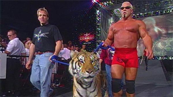 掰手腕用的是哪的肌肉，掰手腕儿的规则（肌肉老爹牵着老虎）