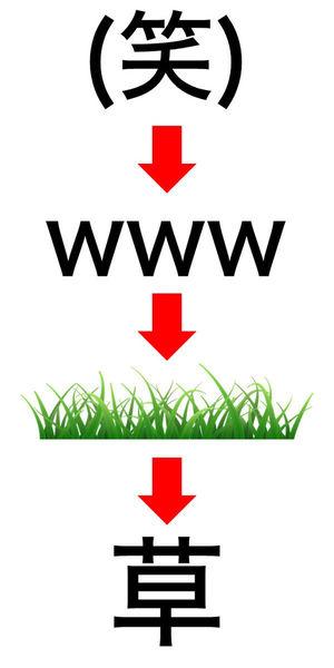 赛高是什么意思啊，二次元赛高是什么意思（从日语引进的词汇科普）