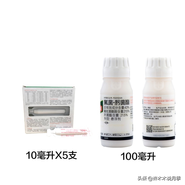 月季常见病虫害及防治方法，月季的病虫害防治（十二种月季常见病害防治教程）