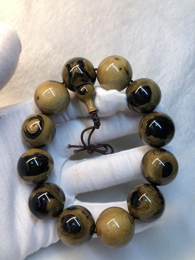 血柳和其他品种,金丝柳,金珊瑚,海藤都有哪些区分①赤柳(海柳)赤柳的