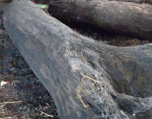 青海白公山大铁管，白公山铁管（德令哈遗址发现“大铁管”）