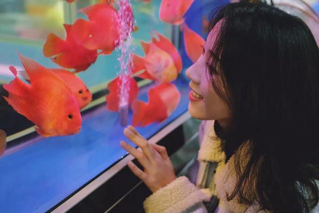 杭州哪个花鸟市场卖猫，杭州最大的花鸟市场在哪里（拍出“港风”，吴山花鸟市场）