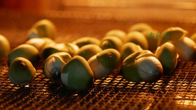 女性吃莲子好处和坏处，干莲子的正确食用方法（吃新鲜莲子）