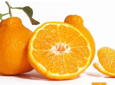 柑橘品种怎么分，柑橘品种（来看看你认识几个）