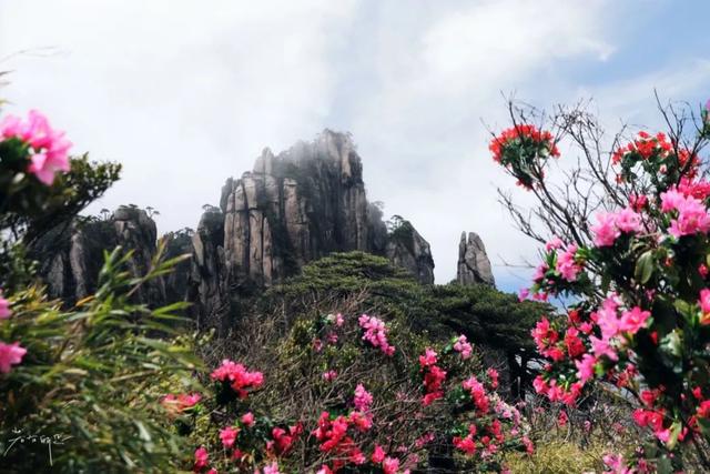 江西三清山风景区，三清山是几A级风景区（小雨初歇的江西三清山）