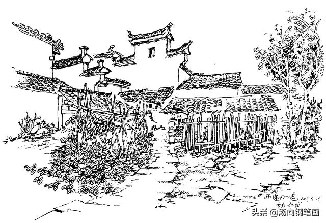 如何画钢笔简笔画，钢笔怎么画简笔画简单又漂亮（零基础真的可以学钢笔画）