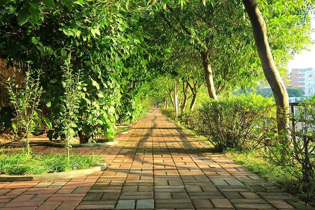 广州康大职业学院，广州康大职业技术学院在青海招生人数、录取分数线、位次[2022招生计划]（广东大学巡礼-广州康大职业技术学院）