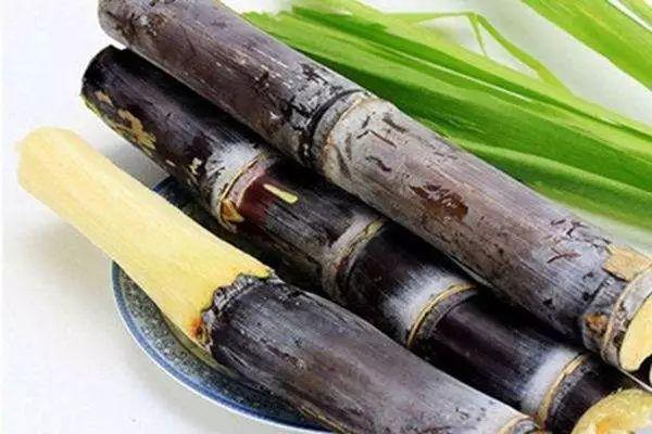 三种人千万别吃甘蔗，哪些人不适合吃甘蔗（歪果人也啃甘蔗）