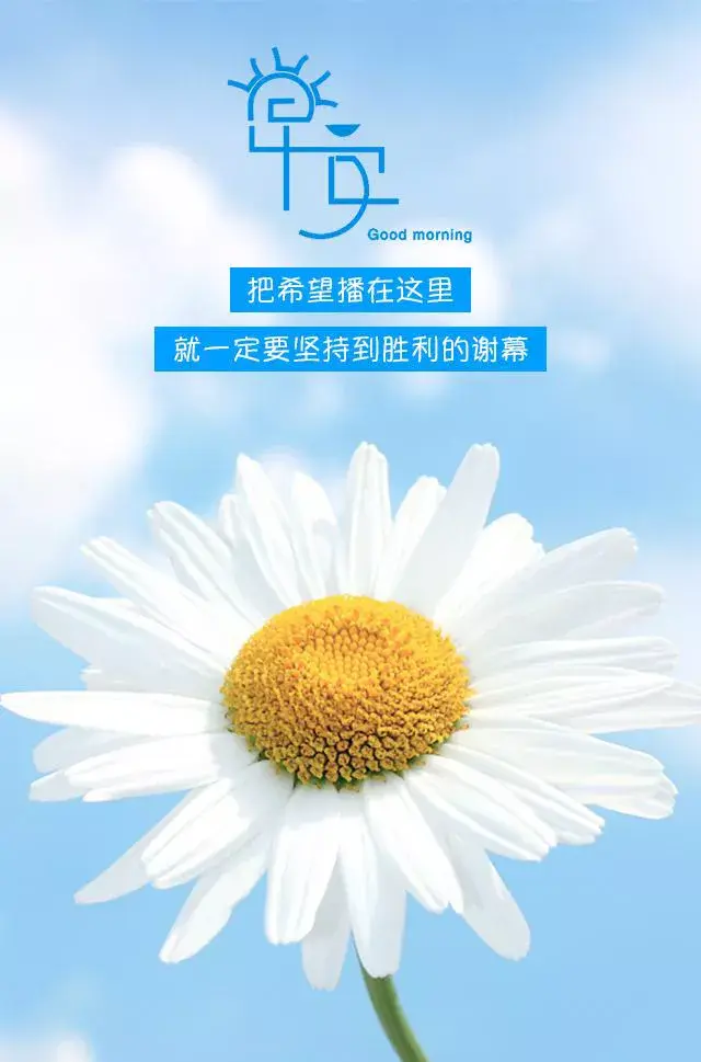 什么的浪花，什么样的浪花（平静的湖面只有呆板的倒影）