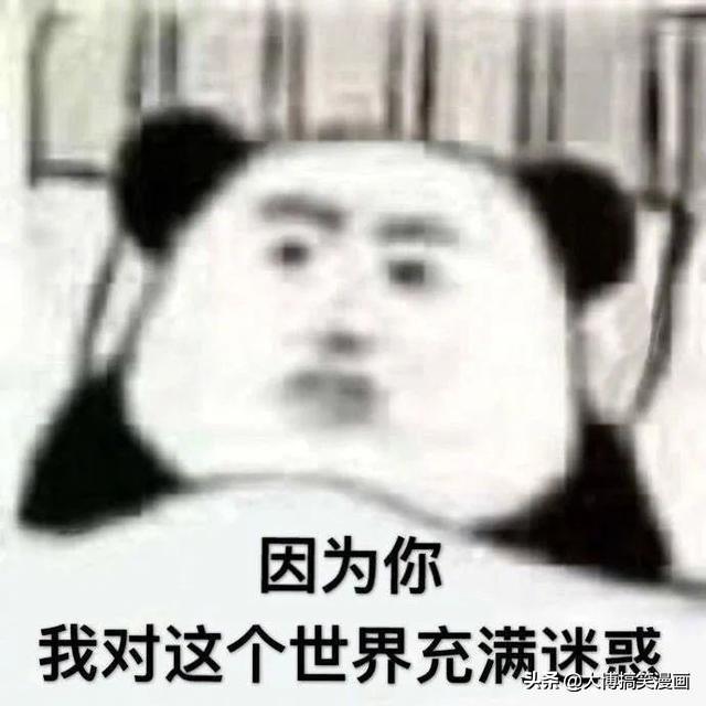 梦见相亲是什么意思，女人梦见相亲对象是什么意思（聊天记录简直亮了瞎钛合狗眼）