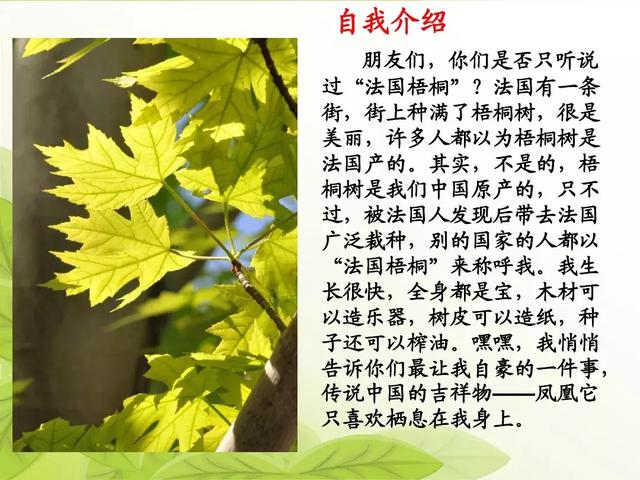 汉字松的组词，松的组词（部编版二年级语文上册识字2《树》知识点+图文解读）