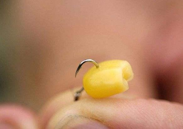 钓鲫鱼用几号线和几号钩最合适，钓鲫鱼用什么鱼饵最好（才能钩型、大小都合适）