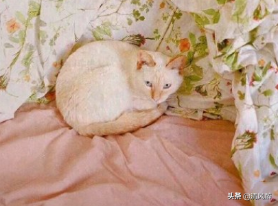 简短的成长感言，成长感悟的句子简短（关于感慨长大的朋友圈说说）