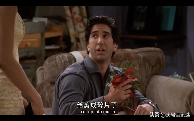 shabby是什么意思，shabby什么意思（shabby shabby）