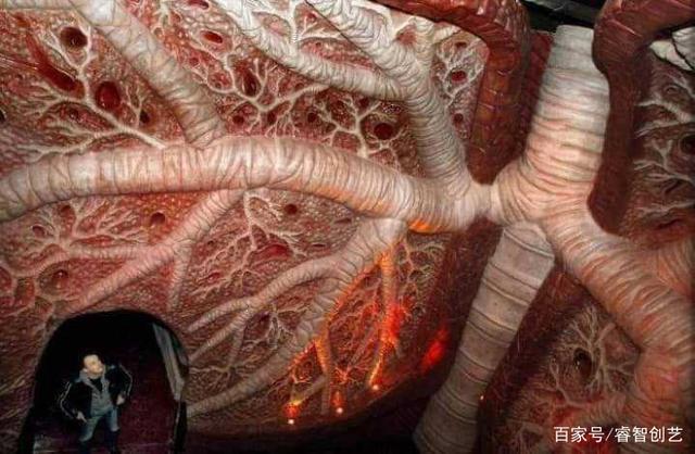 荷兰人体博物馆，博物馆令人害羞的展品（在惊悚中学知识——荷兰超逼真的）