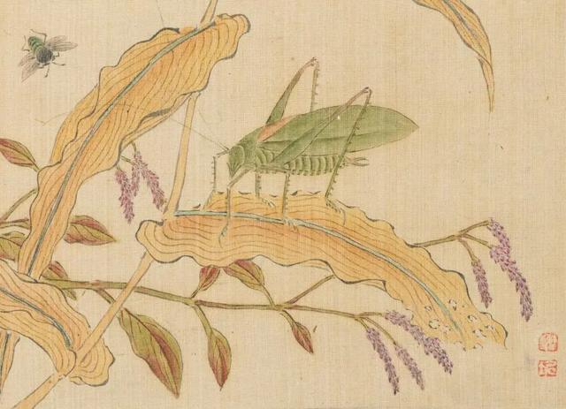 唧唧复唧唧是什么意思，唧唧复唧唧是什么意思唧唧复唧唧什么意思（秋虫之乐：唧唧复唧唧）