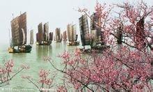 五大淡水湖位置，五大淡水湖位置地图（中国五大湖：鄱阳湖最大）