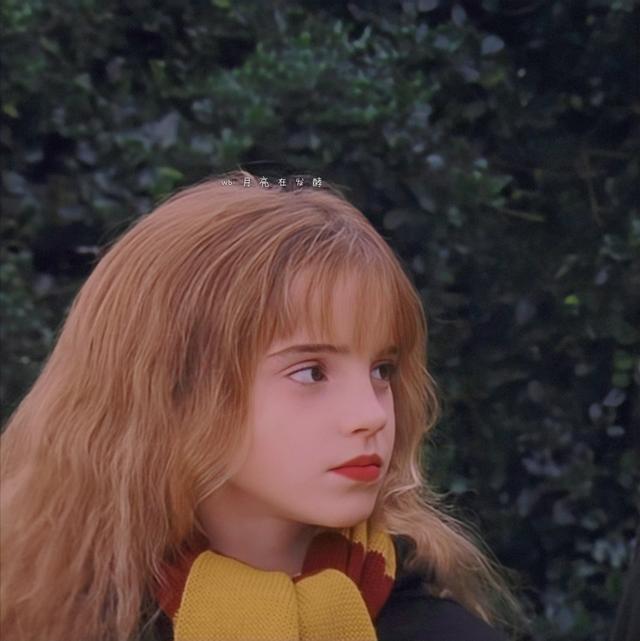 赫敏·格兰杰小天使［哈利.波特］，哈利波特女主角赫敏格兰杰（小赫敏感觉毛茸茸的图片）