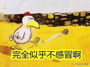 感应调压器原理，感应调压器原理图解（其实只是买错了顺序）