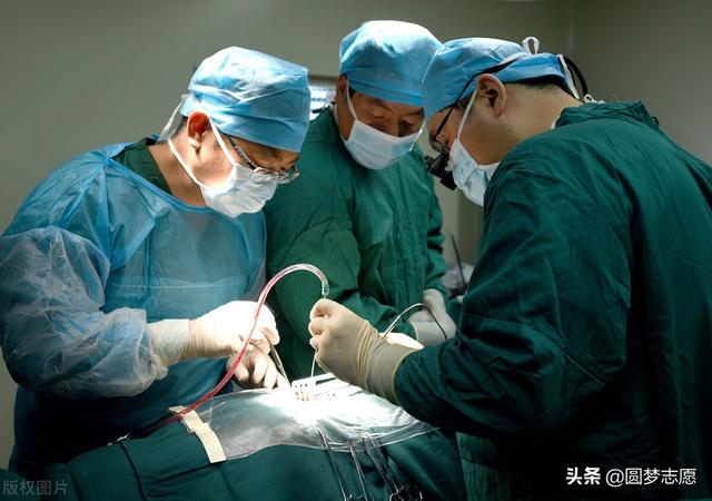 医科大学有哪些，有医学系的大学都有哪些（4所只在提前批招生）