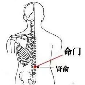 艾灸养生项目定价(艾灸养生项目有哪些)