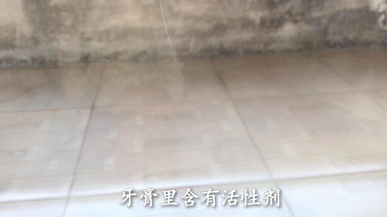 擦玻璃用什么擦最干净不留水渍，玻璃用什么擦的干净不留水痕（从保洁公司偷学到一招）