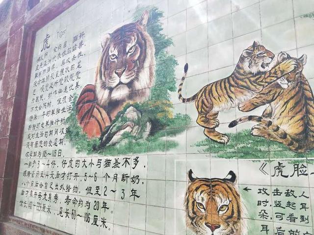 保定动物园里这几种动物特别有意思，保定市哪个动物园好玩（亲子逛吃逛吃逛吃~~）