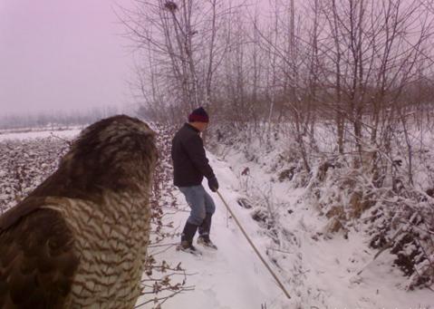 兔子怕冷还是怕热，兔子怕热怎么办（农村老人说兔子到了冬天最怕下雪了）