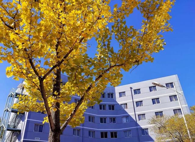 辽宁科技大学宿舍，2021年辽宁科技大学新生宿舍条件图片环境怎么样（<十五>辽宁科技大学）