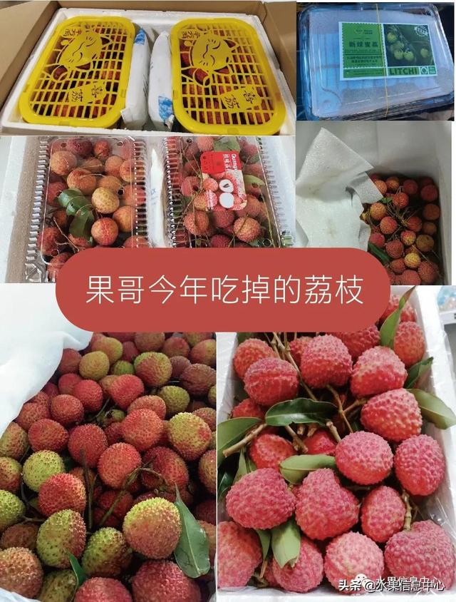 盘点15种常见荔枝，荔枝品种哪个最贵（桂味、糯米糍、新球蜜荔、无核荔枝等）